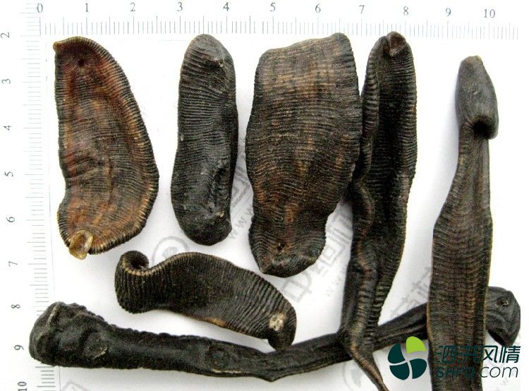 行汇五万给我作合作费,项目亏损,朋友拿汇款凭