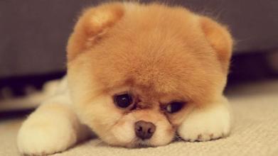 留学挂科导致学分不够只拿到certificate还能做