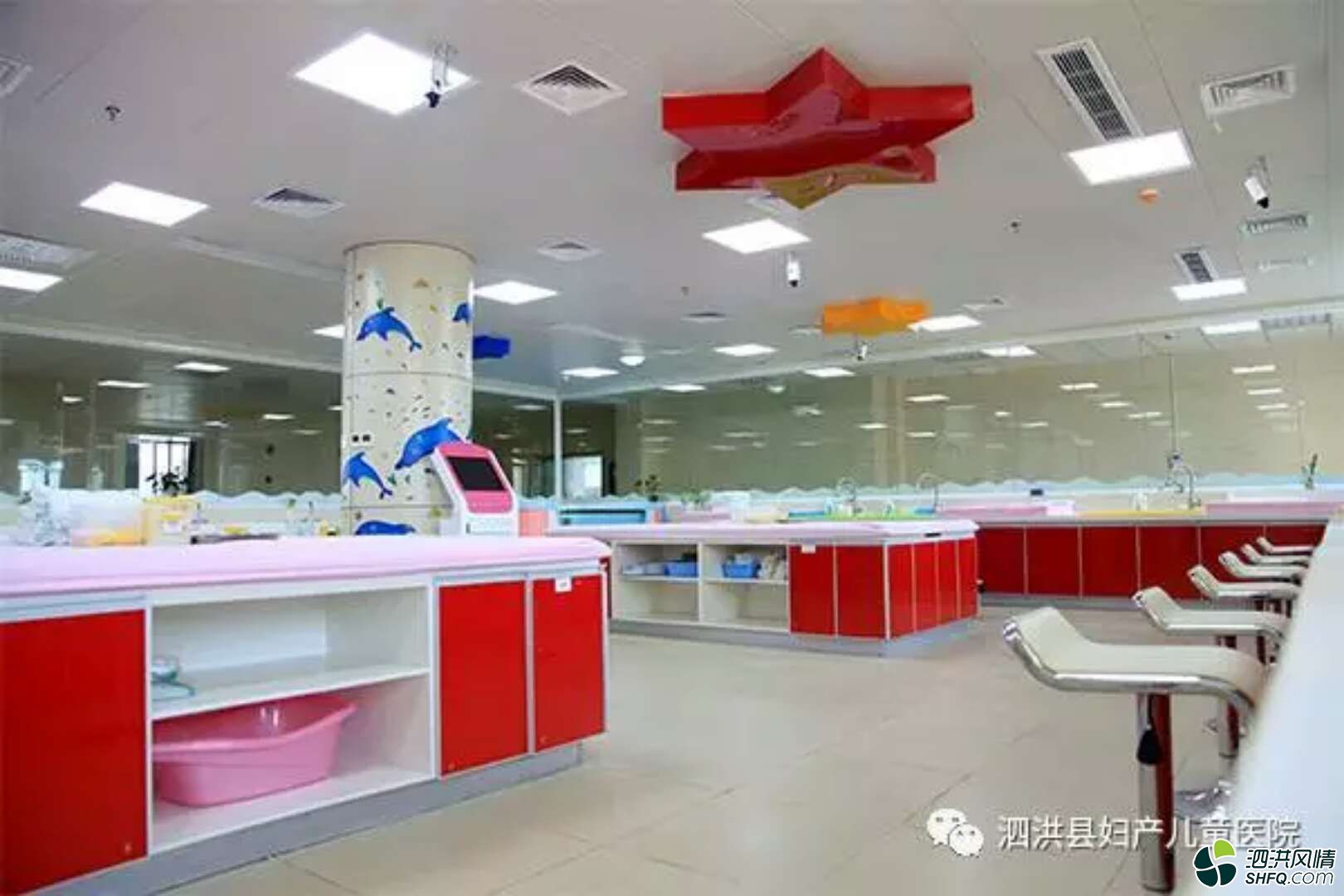 11月25日南京儿童医院内科专家赵非主任医师