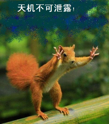 ����צС���� - ����.JPG