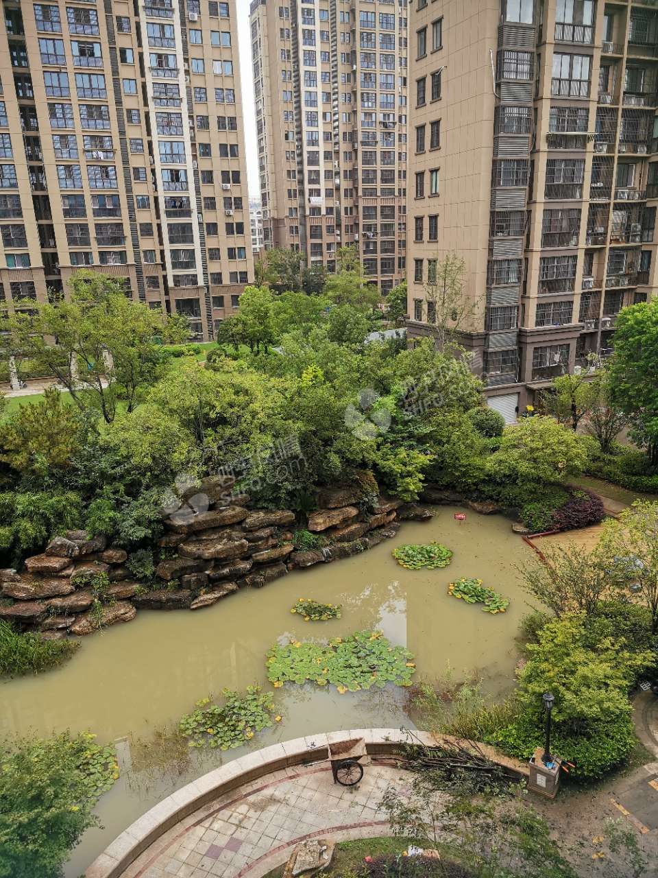水漫泗洪,看看哪家最严重,哪家轻微的.