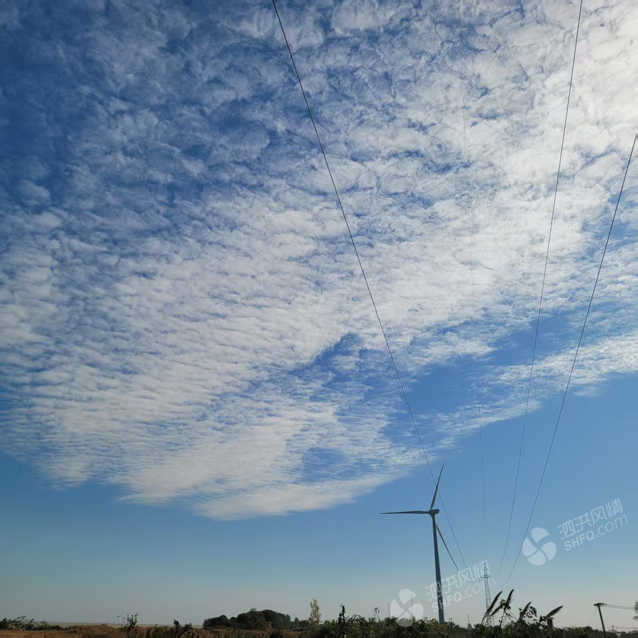 webwxgetmsgimg (2).jpg